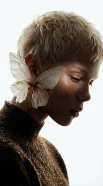 Reference accessories visual used for model display workflow